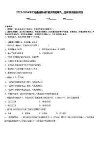 2023-2024学年湖南省郴州市临武县物理九上期末检测模拟试题含答案