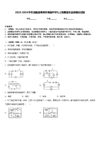 2023-2024学年湖南省郴州市湘南中学九上物理期末监测模拟试题含答案