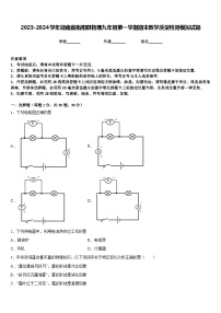 2023-2024学年湖南省衡阳县物理九年级第一学期期末教学质量检测模拟试题含答案