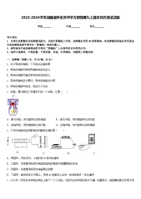 2023-2024学年湖南省怀化市中学方县物理九上期末综合测试试题含答案