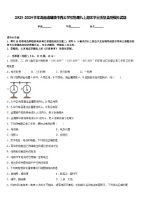 2023-2024学年湖南省醴陵市青云学校物理九上期末学业质量监测模拟试题含答案