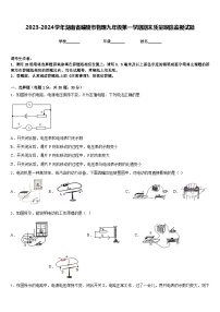 2023-2024学年湖南省醴陵市物理九年级第一学期期末质量跟踪监视试题含答案