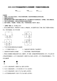 2023-2024学年湖南省邵阳市九年级物理第一学期期末检测模拟试题含答案