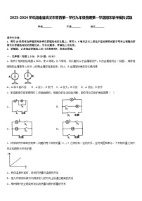 2023-2024学年湖南省武汉市常青第一学校九年级物理第一学期期末联考模拟试题含答案