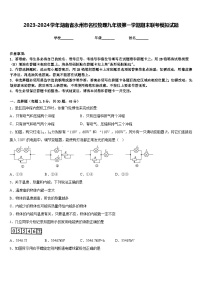 2023-2024学年湖南省永州市名校物理九年级第一学期期末联考模拟试题含答案