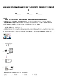 2023-2024学年湖南省武汉武昌区五校联考九年级物理第一学期期末复习检测模拟试题含答案