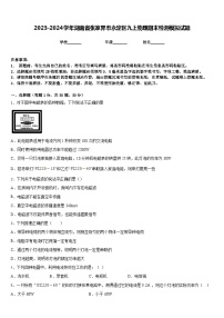 2023-2024学年湖南省张家界市永定区九上物理期末检测模拟试题含答案