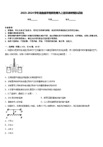 2023-2024学年湖南省邵阳县物理九上期末调研模拟试题含答案