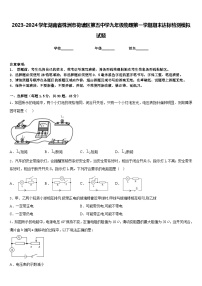 2023-2024学年湖南省株洲市荷塘区第五中学九年级物理第一学期期末达标检测模拟试题含答案