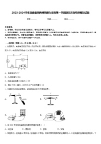 2023-2024学年湖南省湘西州物理九年级第一学期期末达标检测模拟试题含答案