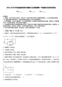 2023-2024学年湖南省株洲市荷塘区九年级物理第一学期期末达标检测试题含答案