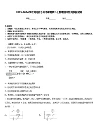 2023-2024学年湖南省永州市祁阳县九上物理期末检测模拟试题含答案