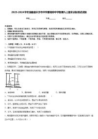 2023-2024学年湖南省长沙市中学雅培粹中学物理九上期末达标测试试题含答案