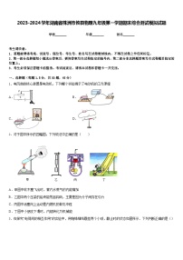 2023-2024学年湖南省株洲市攸县物理九年级第一学期期末综合测试模拟试题含答案