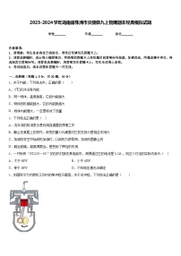 2023-2024学年湖南省株洲市炎陵县九上物理期末经典模拟试题含答案