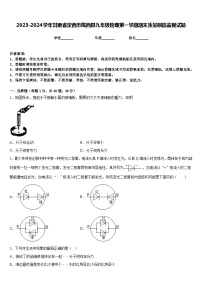 2023-2024学年甘肃省定西市陇西县九年级物理第一学期期末质量跟踪监视试题含答案