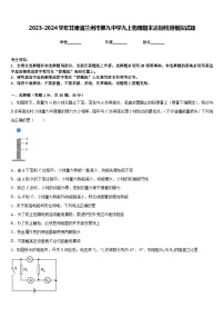 2023-2024学年甘肃省兰州市第九中学九上物理期末达标检测模拟试题含答案