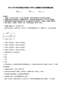 2023-2024学年甘肃省兰州市树人中学九上物理期末达标检测模拟试题含答案