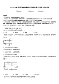 2023-2024学年甘肃省临洮县九年级物理第一学期期末经典试题含答案