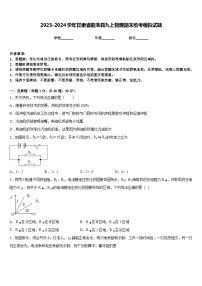 2023-2024学年甘肃省临洮县九上物理期末统考模拟试题含答案