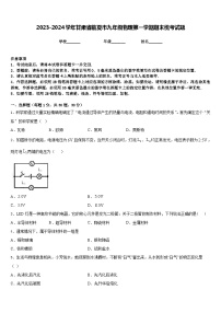 2023-2024学年甘肃省临夏市九年级物理第一学期期末统考试题含答案