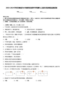 2023-2024学年甘肃省天水市麦积区向荣中学物理九上期末质量跟踪监视试题含答案