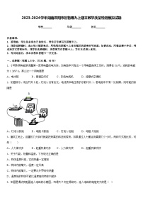 2023-2024学年湖南邵阳市区物理九上期末教学质量检测模拟试题含答案