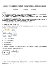 2023-2024学年湖南省长沙市青竹湖湘一外国语学校物理九上期末学业质量监测试题含答案