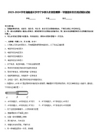 2023-2024学年湖南省长沙市宁乡县九年级物理第一学期期末综合测试模拟试题含答案