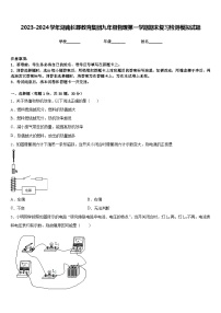 2023-2024学年湖南长郡教育集团九年级物理第一学期期末复习检测模拟试题含答案