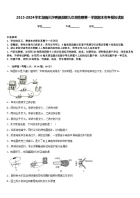 2023-2024学年湖南长沙明德旗舰九年级物理第一学期期末统考模拟试题含答案