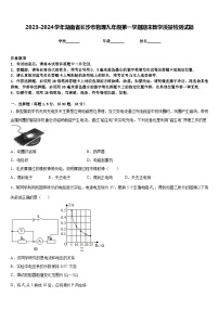 2023-2024学年湖南省长沙市物理九年级第一学期期末教学质量检测试题含答案