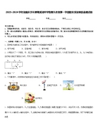 2023-2024学年湖南长沙长郡梅溪湖中学物理九年级第一学期期末质量跟踪监视试题含答案