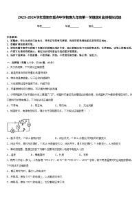 2023-2024学年濮阳市重点中学物理九年级第一学期期末监测模拟试题含答案