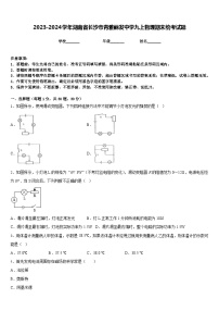 2023-2024学年湖南省长沙市青雅丽发中学九上物理期末统考试题含答案