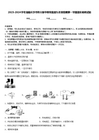 2023-2024学年湖南长沙市师大附中教育集团九年级物理第一学期期末调研试题含答案