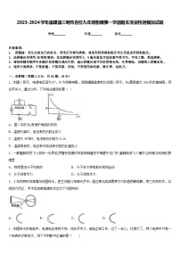 2023-2024学年福建省三明市名校九年级物理第一学期期末质量检测模拟试题含答案