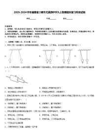 2023-2024学年福建省三明市尤溪四中学九上物理期末复习检测试题含答案