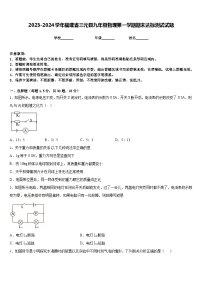 2023-2024学年福建省三元县九年级物理第一学期期末达标测试试题含答案