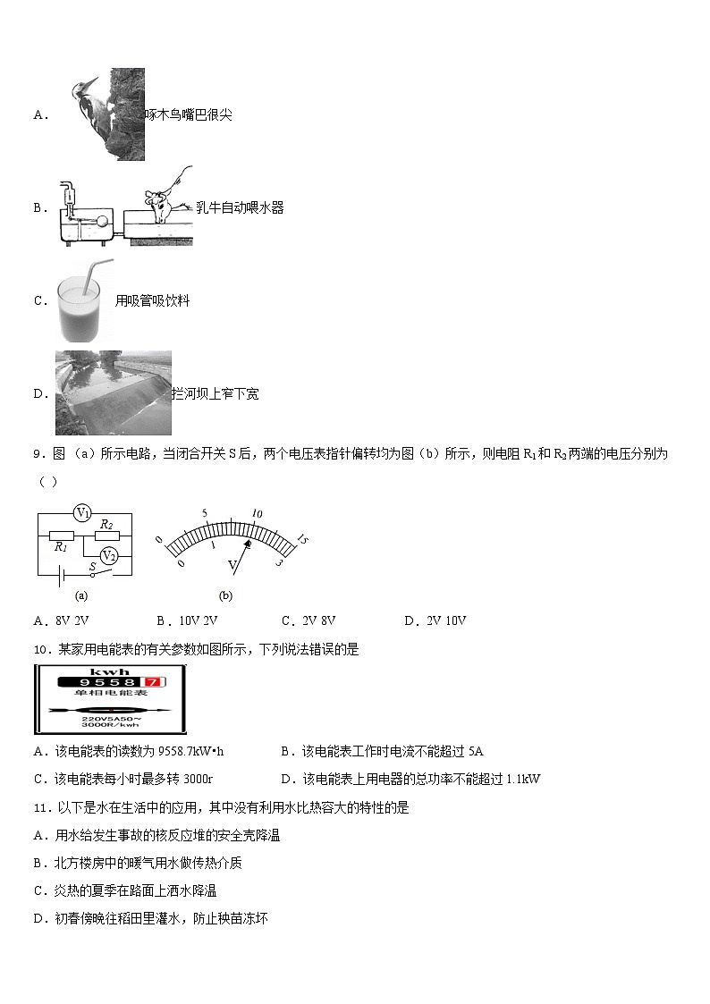 2023-2024学年甘肃省白银市靖远县九上物理期末达标检测试题含答案03