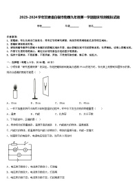 2023-2024学年甘肃省白银市物理九年级第一学期期末检测模拟试题含答案