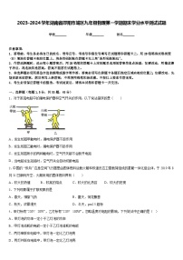 2023-2024学年湖南省邵阳市城区九年级物理第一学期期末学业水平测试试题含答案