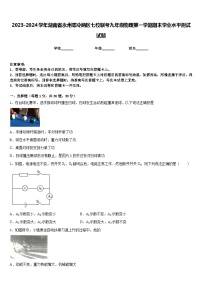 2023-2024学年湖南省永州零冷两区七校联考九年级物理第一学期期末学业水平测试试题含答案