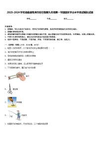 2023-2024学年湖南省株洲市名校物理九年级第一学期期末学业水平测试模拟试题含答案