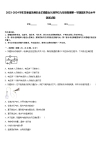 2023-2024学年甘肃省凉州区金羊镇皇台九制学校九年级物理第一学期期末学业水平测试试题含答案