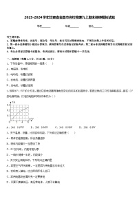 2023-2024学年甘肃省金昌市名校物理九上期末调研模拟试题含答案