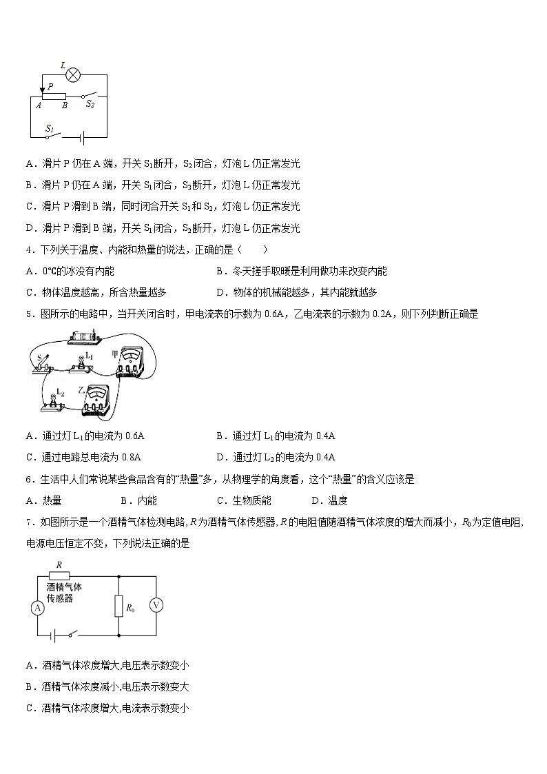 2023-2024学年甘肃省金昌市永昌市第五中学物理九年级第一学期期末学业质量监测模拟试题含答案02