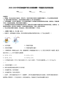 2023-2024学年甘肃省静宁县九年级物理第一学期期末质量检测试题含答案