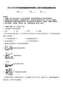 2023-2024学年甘肃省陇南徽县联考物理九上期末质量跟踪监视模拟试题含答案