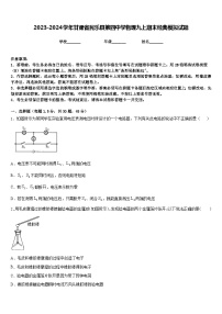 2023-2024学年甘肃省民乐县第四中学物理九上期末经典模拟试题含答案